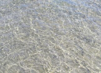 Stockholm Beach Club: Upptäck Dolda Skatter och Njutning