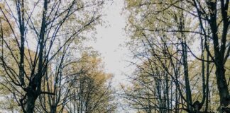 Bostad Stockholm Login: Så Här Får Du Tillgång Till Bästa Erbjudandena