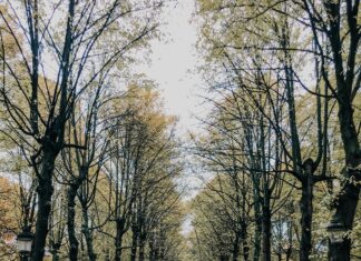 Bostad Stockholm Login: Så Här Får Du Tillgång Till Bästa Erbjudandena