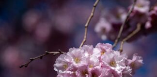 Sportlov Stockholm 2025: Upptäck De Bästa Aktiviteterna För Familjen