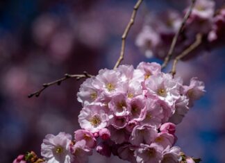 Sportlov Stockholm 2025: Upptäck De Bästa Aktiviteterna För Familjen