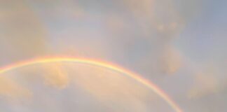 Hemnet Stockholm: Upptäck Drömhemmet I Huvudstaden Idag