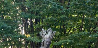 Rinkeby Stockholm: Upptäck Dolda Skatter och Lokala Hemligheter