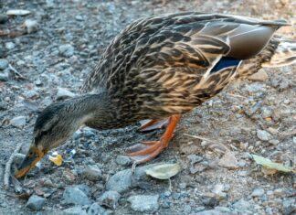 Takbar Stockholm: Upptäck Den Perfekta Platsen För Din Kväll!