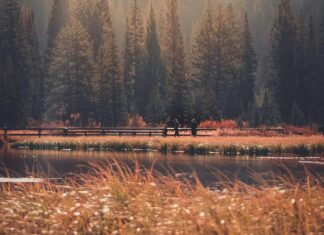 Morgan Wallen Stockholm: Upptäck Hemligheterna Bakom Konserten