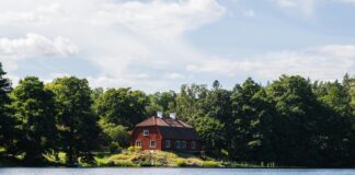 Höstlov Stockholm 2022: Upptäck Spännande Aktiviteter För Barn!