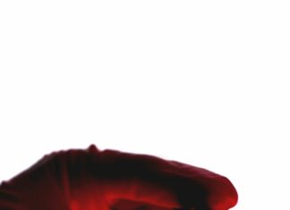 Hemtest Corona Stockholm: Hur Du Snabbt Får Ditt Test Resultat