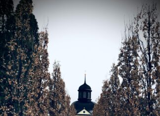 Liljeholmen Stockholm: Upptäck Dolda Skatter och Hemligheter