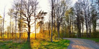 Park Inn By Radisson Stockholm Hammarby: Upptäck Ditt Perfekta Boende!