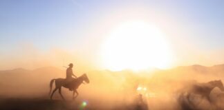 Best Western Stockholm: Upptäck De Bästa Hotellen i Staden