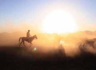 Best Western Stockholm: Upptäck De Bästa Hotellen i Staden