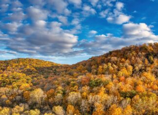 Lauryn Hill Stockholm: Upptäck Hennes Oförglömliga Musikupplevelse