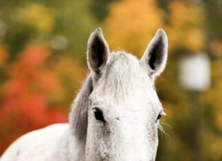 Påsklov 2024 Stockholm: Upptäck Spännande Aktiviteter och Evenemang