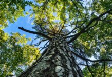 Lekparker I Stockholm: Upptäck De Bästa Platserna För Lek!