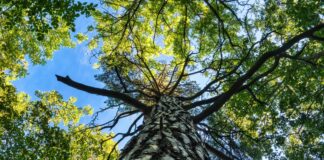 Lekparker I Stockholm: Upptäck De Bästa Platserna För Lek!