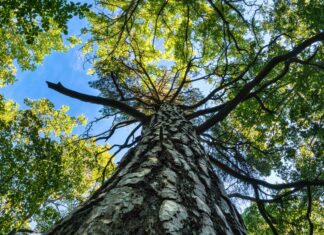 Lekparker I Stockholm: Upptäck De Bästa Platserna För Lek!