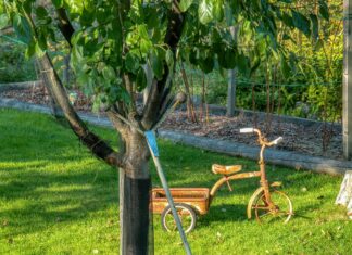 Mysig Restaurang Stockholm: Upptäck Dolda Skatter För Din Nästa Middag