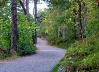 Nk Hamngatan Stockholm: Upptäck Dolda Skatter i Stadens Hjärta