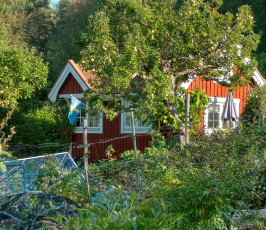 Biljardpalatset I Stockholm: Upptäck Den Ultimata Spelupplevelsen