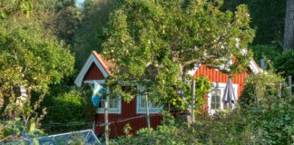 Fridhemsplan Stockholm: Upptäck Dolda Skatter i Staden