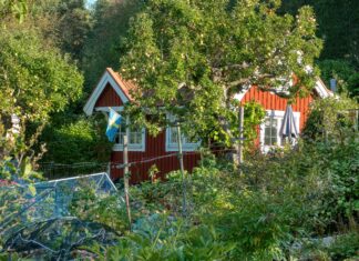 Fridhemsplan Stockholm: Upptäck Dolda Skatter i Staden