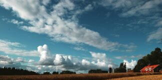 Förskola Stockholm: Upptäck De Bästa Alternativen För Ditt Barn