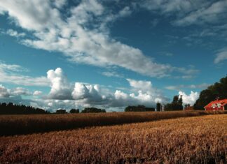 Förskola Stockholm: Upptäck De Bästa Alternativen För Ditt Barn