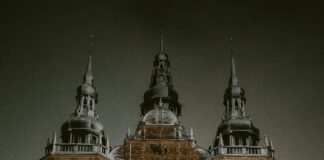 Equestrian Stockholm: Upptäck De Bästa Ridskolorna och Evenemangen