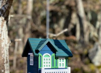 Skärholmen Stockholm: Upptäck Dolda Skatter Och Favoriter