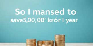 Så lyckades jag spara 50 000 kronor på ett år – och du kan också! So I managed to save 50,000 kronor in a year – and you can too!